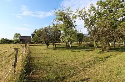 Terrain à bâtir, 980 m²