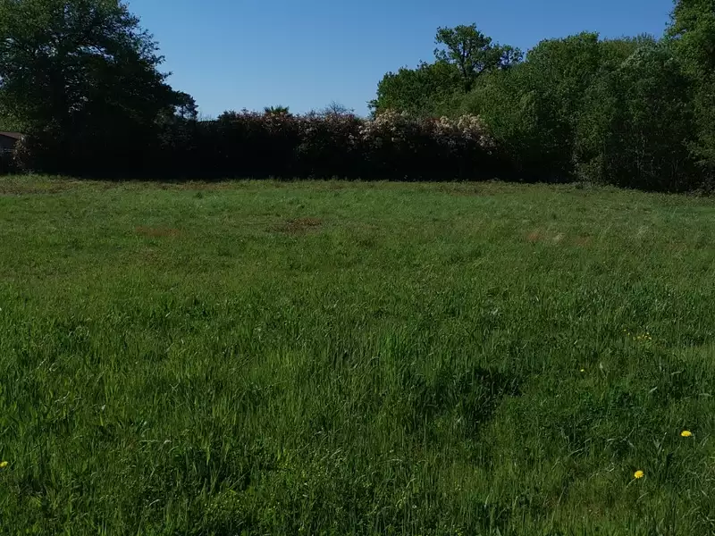 Maison neuve, 80 m² - Périgueux (24000)