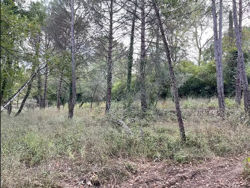 Terrain à bâtir, 2 200 m² - Tourrettes (83440)