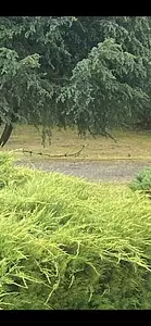 Terrain à bâtir, 500 m²