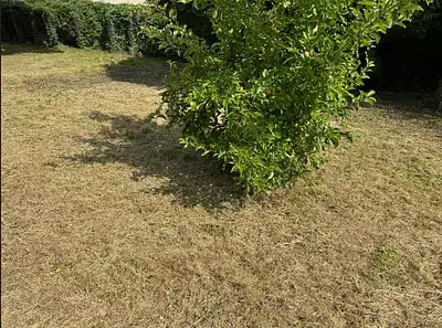 Maison neuve, 49 m²