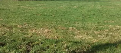 Maison neuve, 101 m²