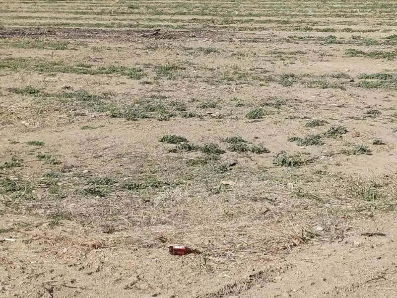 Maison neuve, 95 m² - Saint-André (66690)