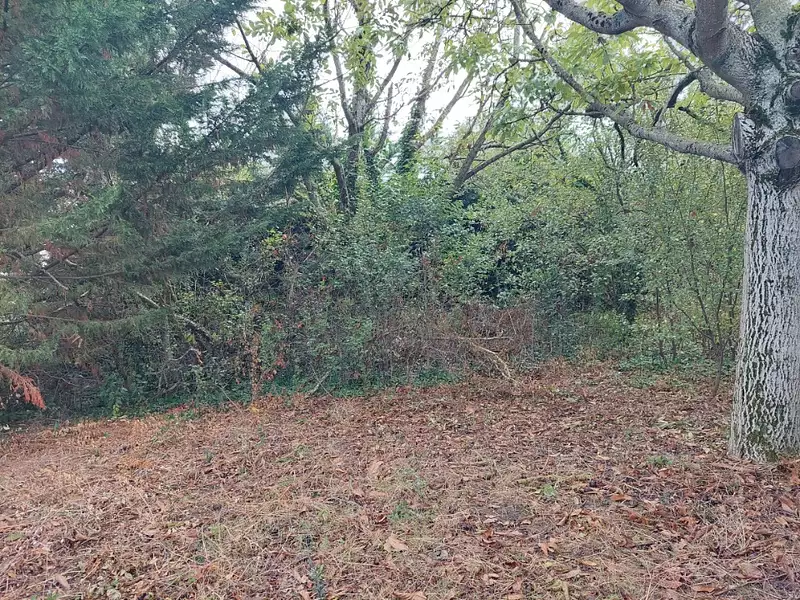 Terrain à bâtir, 500 m² - Beaupuy (31850)