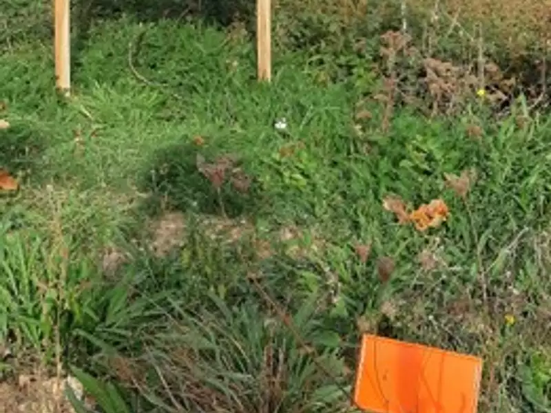 Terrain à bâtir, 301 m² - La Génétouze (85190)
