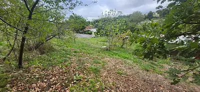 Terrain à bâtir, 1 190 m²