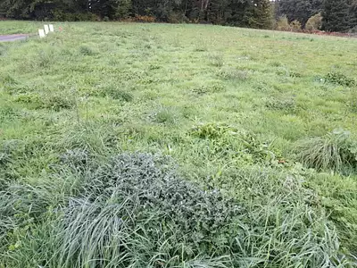 Terrain à bâtir, 1 120 m²