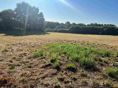 Terrain à bâtir, 1 800 m²