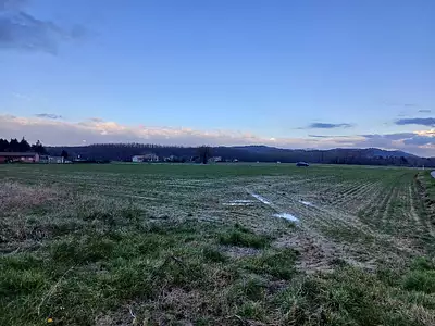 Maison neuve, 50 m²