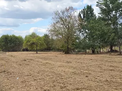 Terrain à bâtir, 919 m²