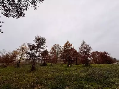 Terrain à bâtir, 2 200 m²