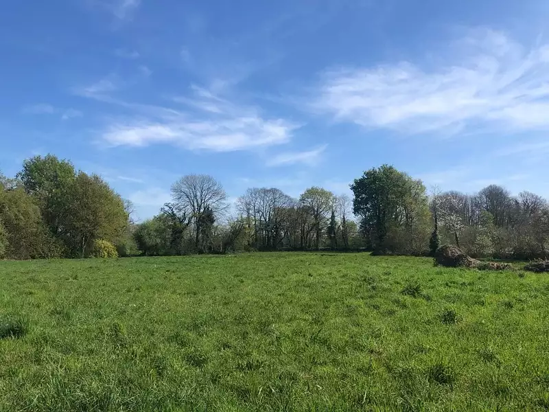 Terrain à bâtir, 1 500 m² - Villematier (31340)