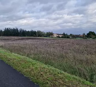 Maison neuve, 100 m²