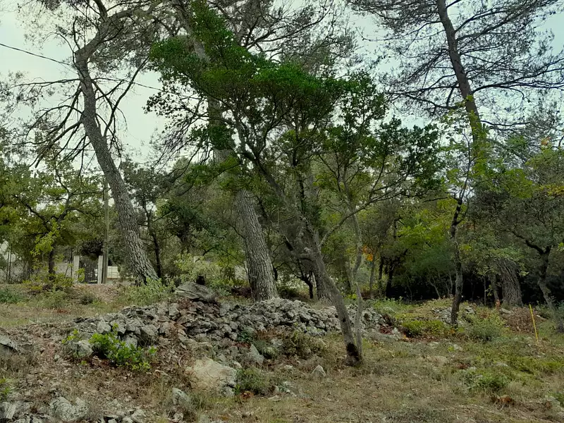 Maison neuve, 90 m² - Saint-Maximin-la-Sainte-Baume (83470)