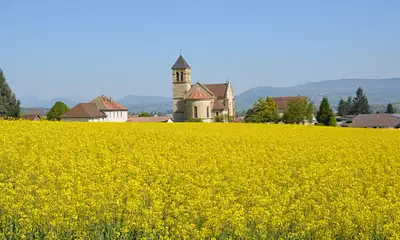Terrain à bâtir, 1 330 m²