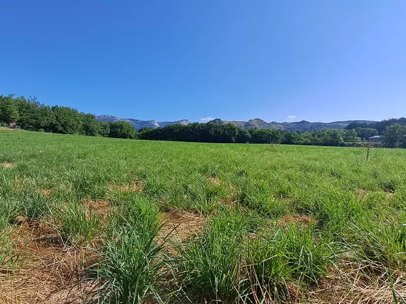 Terrain à bâtir, 768 m² - Lazer (05300)