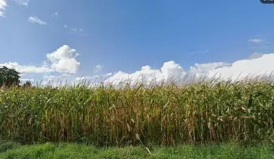 Terrain à bâtir, 764 m²