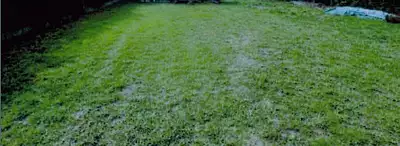 Maison neuve, 91 m²