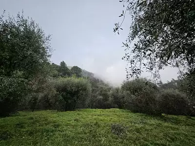 Terrain à bâtir, 2 151 m²