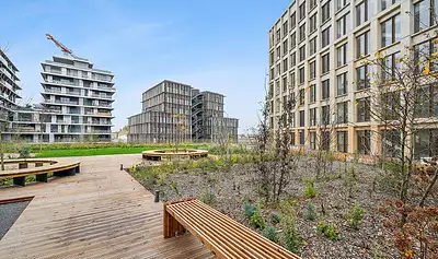 QUAI NEUF - OTAGO & CALLAO