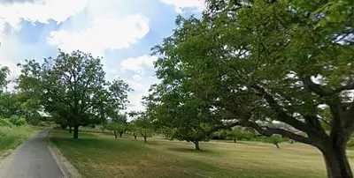 Maison neuve, 50 m²