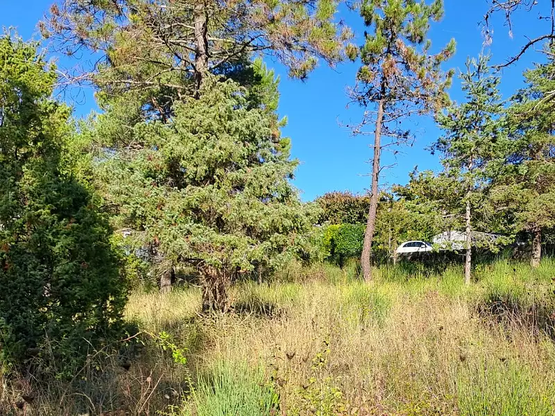 Maison neuve, 100 m² - Levens (06670)