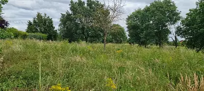 Terrain à bâtir, 503 m²