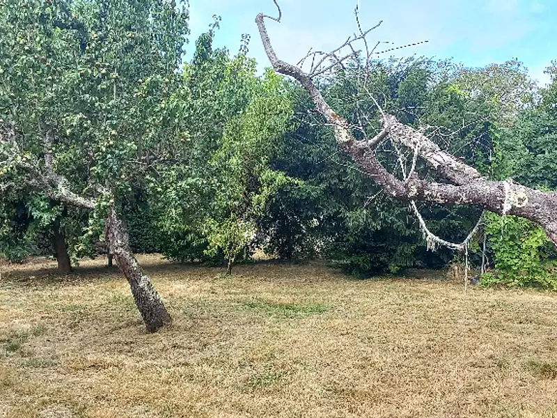 Terrain à bâtir, 830 m² - Montpon-Ménestérol (24700)