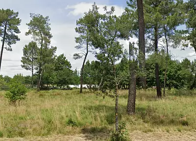 Terrain à bâtir, 1 038 m²