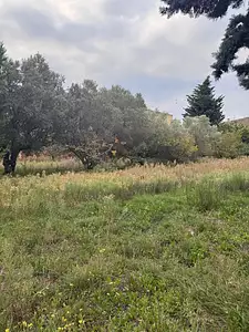 Terrain à bâtir, 1 158 m²