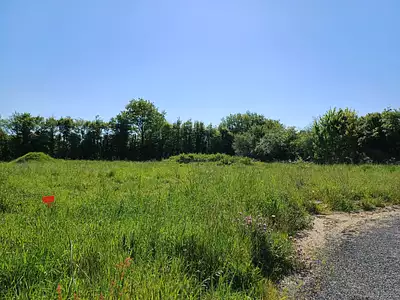 Terrain à bâtir, 453 m²