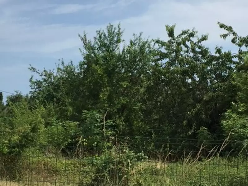 Terrain à bâtir, 628 m² - Saint-Martin-la-Pallu (86380)