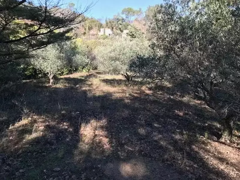 Maison neuve, 80 m² - La Roquebrussanne (83136)