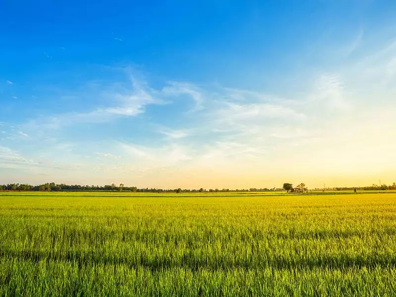 Terrain à bâtir, 1 532 m² - La Guerche-sur-l'Aubois (18150)