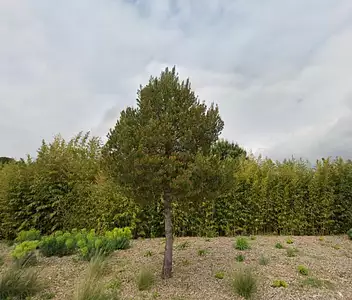 Terrain à bâtir, 430 m²