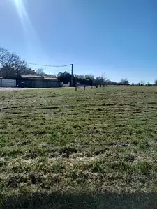 Maison neuve, 80 m²