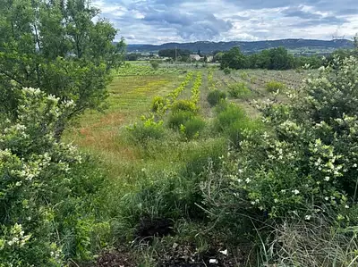 Terrain à bâtir, 401 m²
