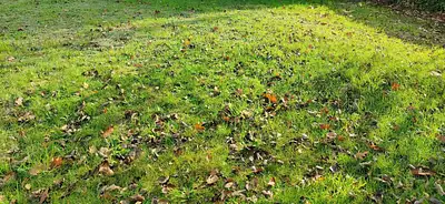 Maison neuve, 63 m²