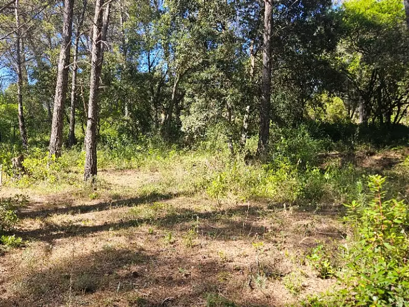 Maison neuve, 100 m² - Bagnols-en-Forêt (83600)