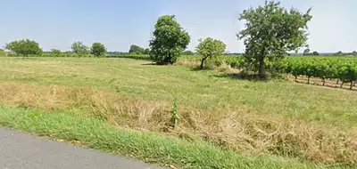 Maison neuve, 100 m²