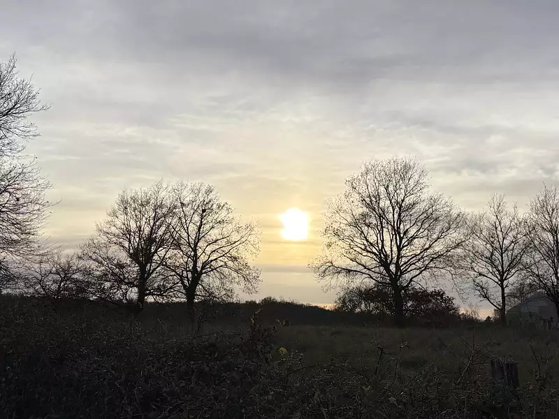 Terrain à bâtir, 1 177 m² - Paray-le-Monial (71600)