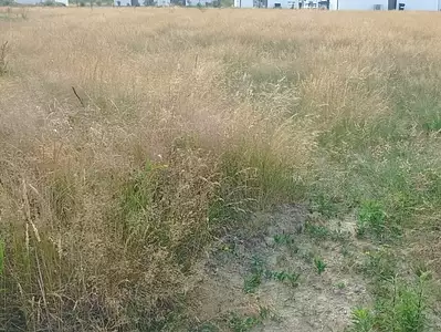 Maison neuve, 49 m²