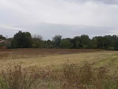 Terrain à bâtir, 900 m²