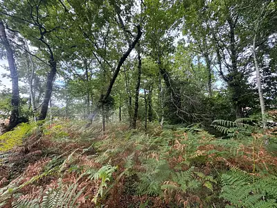 Maison neuve, 80 m²