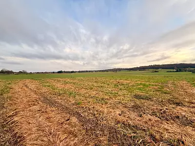 Maison neuve, 84 m²