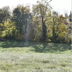 Terrain à bâtir, 10 000 m²