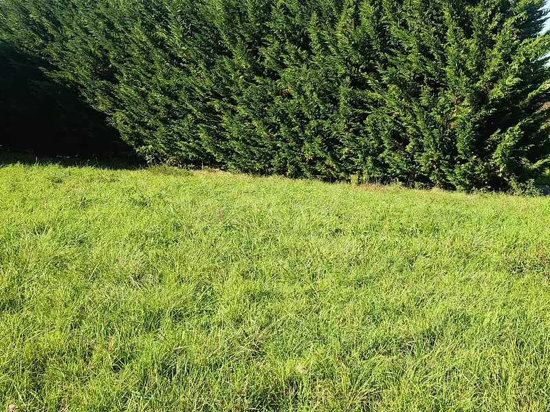 Terrain à bâtir, 1 200 m² - Polliat (01310)