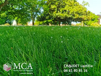 Maison neuve, 80 m²