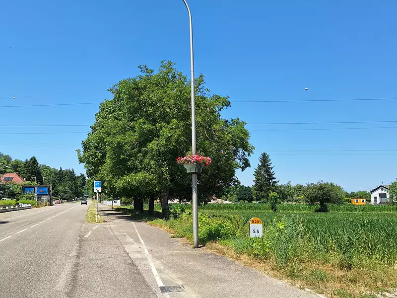 Maison neuve, 181 m² - Bartenheim (68870)