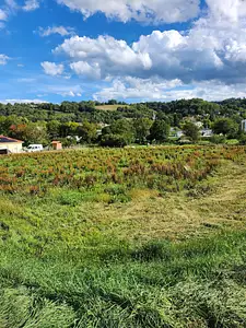 Maison neuve, 89 m²